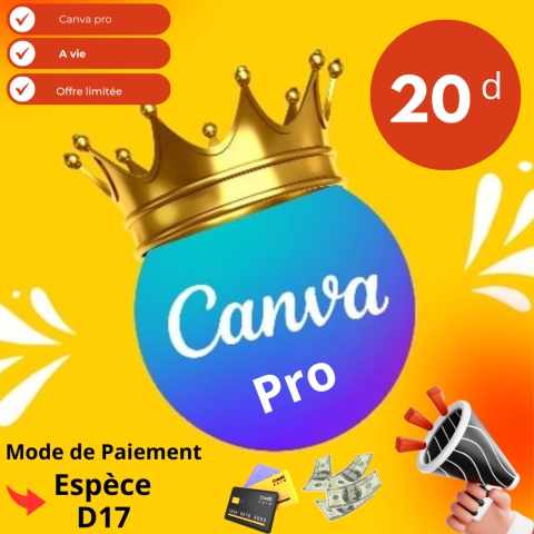 Compte Canva pro dispo en promo 